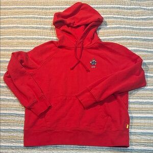 Levi's Mario Brothers Red Men's Hoodie